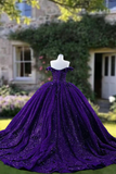 Purple Sparkly Ball Gown With 3D Flowers
