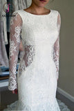 Long Sleeves Open Back Lace Wedding Dress with Train,Mermaid Beach Wedding Dresses KPW0061