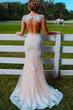 Mermaid Sweep Train Open Back Tulle Prom Dress with Appliques,Mermaid Wedding Dress KPW0079