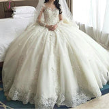 Gorgeous ivory Lace Appliques Long Sleeves Ball Gown Wedding Dress KPW0168
